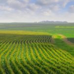 Into the Field: Food and Agricultural Law and Policy