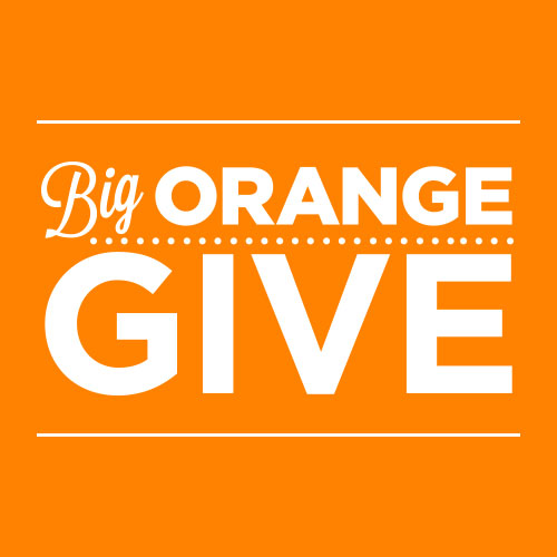 Big Orange Give (Square Logo)
